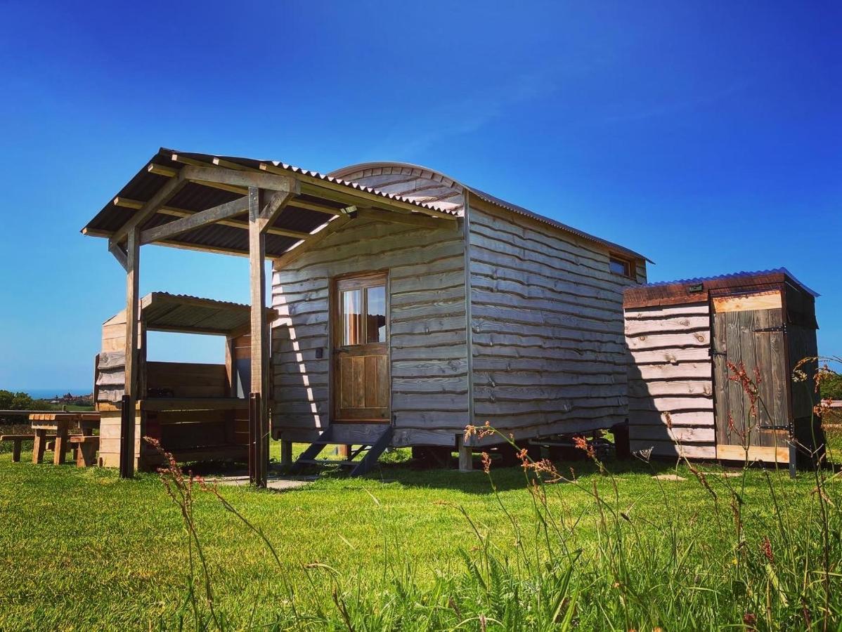 Shepherds Hut In A Private Meadow With Sea Views Хартланд Екстериор снимка