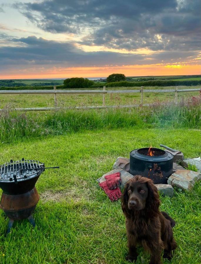 Shepherds Hut In A Private Meadow With Sea Views Хартланд Екстериор снимка