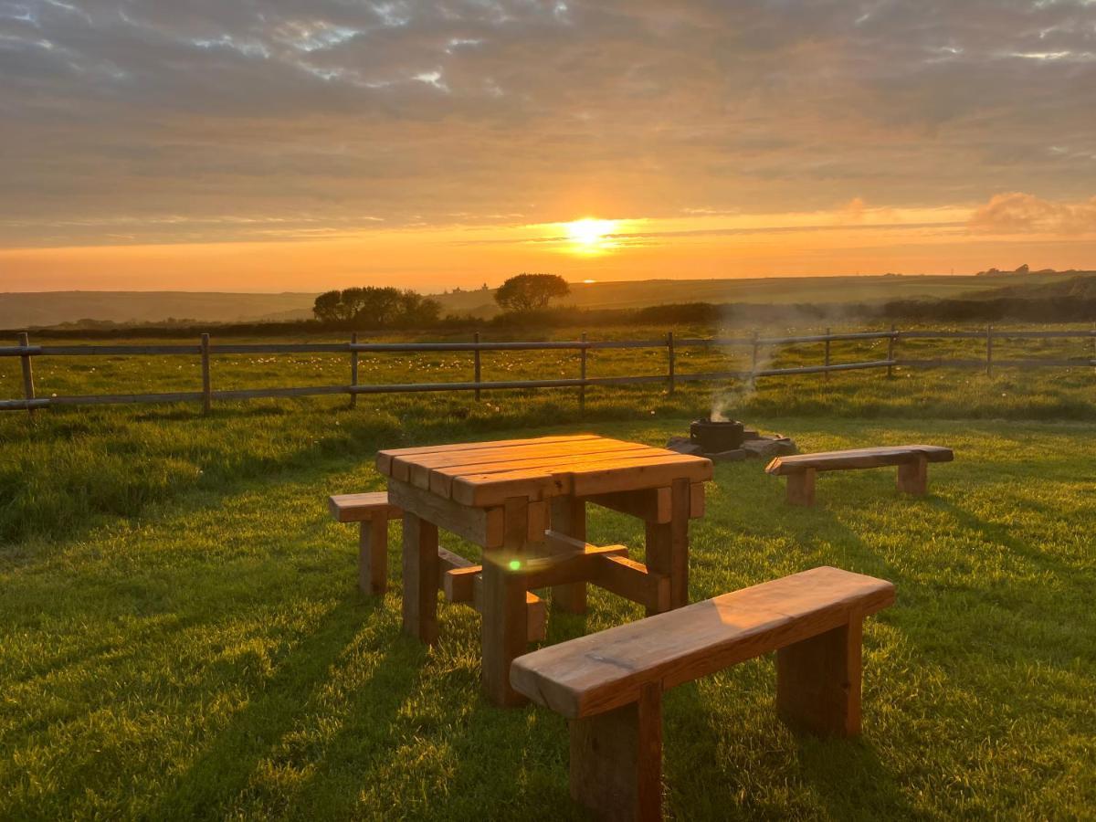 Shepherds Hut In A Private Meadow With Sea Views Хартланд Екстериор снимка